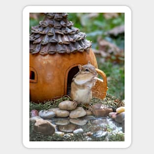 Chipmunk waiting for a visitor Sticker